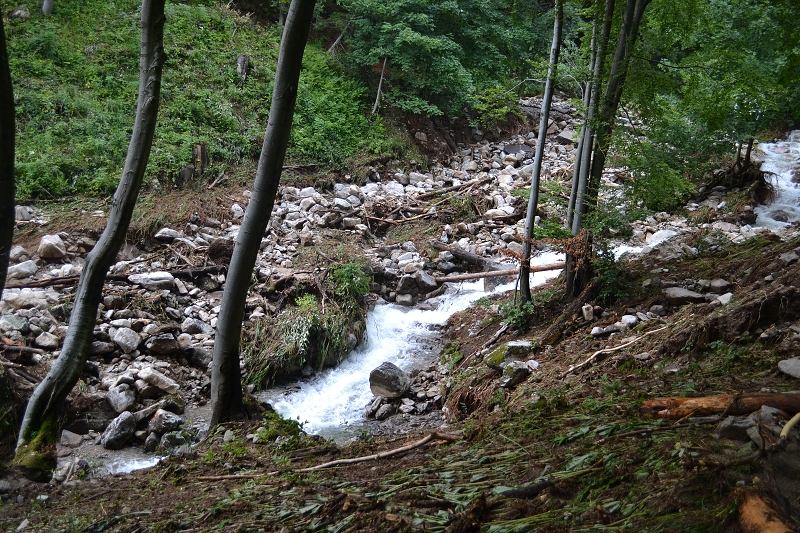 22. júla 2014 14:44:29
