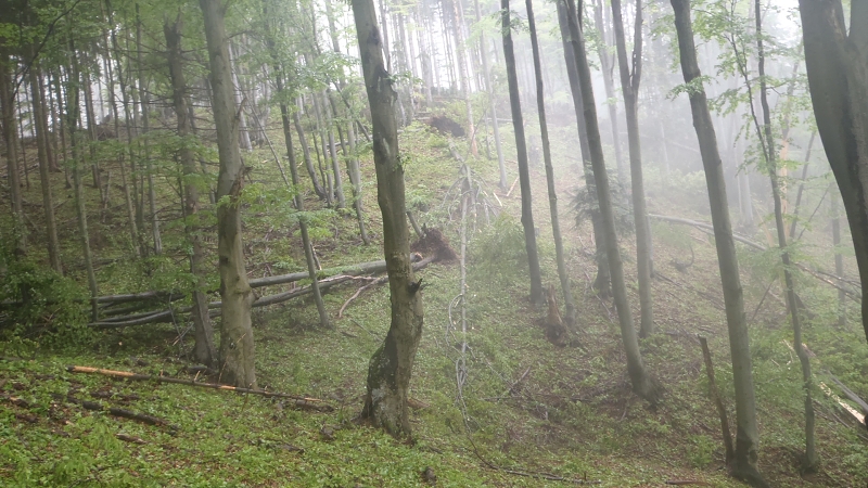 18. mája 2014 10:05:19